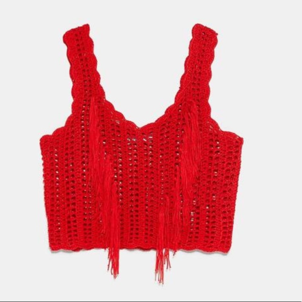 ZARA Fringe Knitted Top